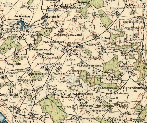  Соино, деревня (Плисский сельсовет). 