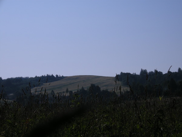  Lopatniki, village (Bielicki rural council). Вид на соседнюю д. Нерейша.
