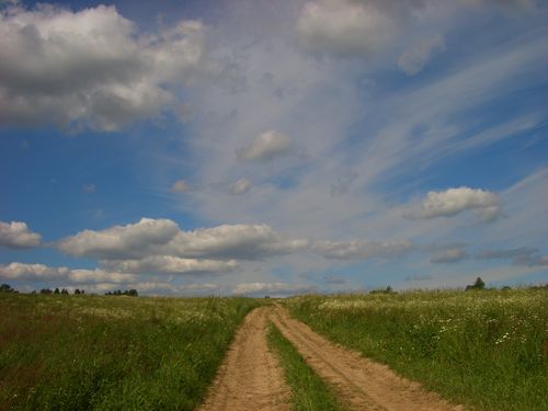  Lopatniki, village (Bielicki rural council). Поворот на деревню с дороги.