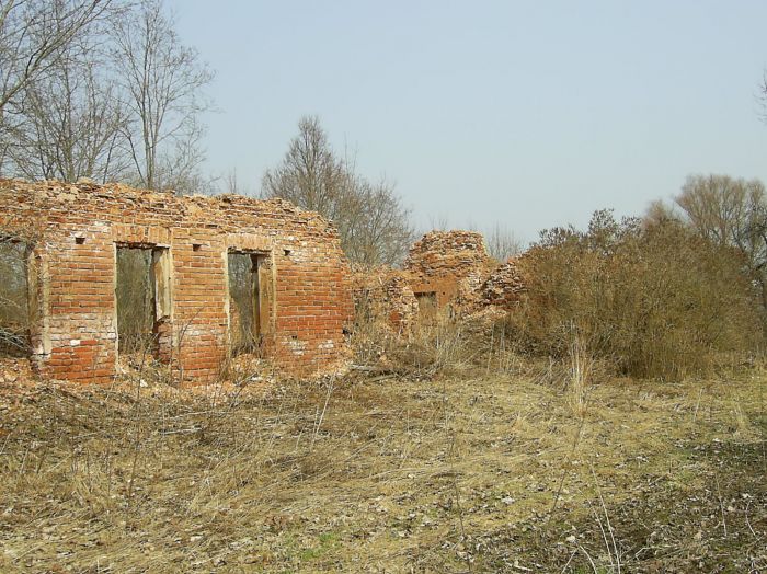  Drujka, village (Drujeŭski rural council). Друйка(Василево).Руины дома Василевских