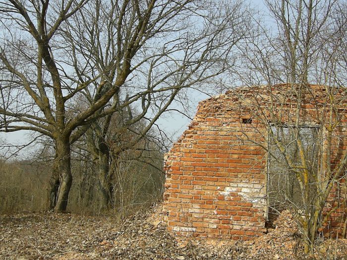  Drujka, village (Drujeŭski rural council). 