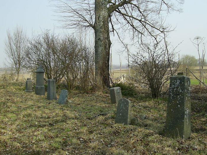  Malkowszczyzna, majątek (Druja gmina wiejska  ). Захоронение семьи Шауман возле костёла