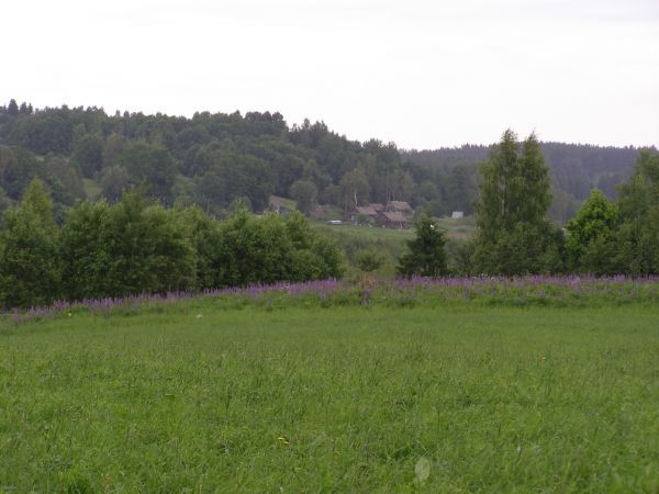  Kuchino, village (Smaljanski rural council). д.Кучино июнь 2010г.