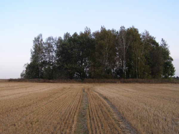  ,  ( ). , 19.09.2012.