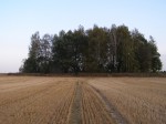Z albumu ze współczesnymi zdjęciami