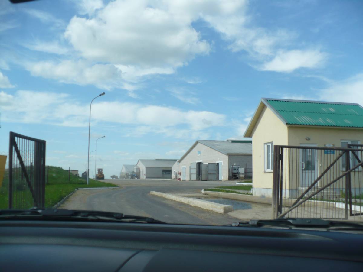  Крутой Берег, деревня (Липский сельсовет). Kolchoz polzony jak wiekszosc na Bialorusi wsrod pol, z dala od wiosek, ten o okolicy Kretego Brzegu