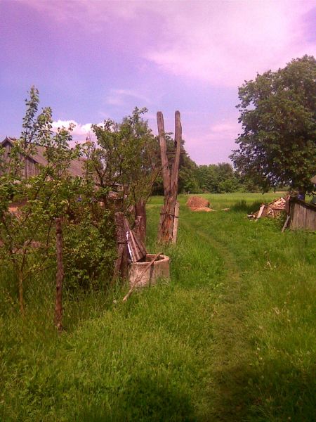 Совпли, деревня (Городецкий сельсовет). Saple- podwórek Wasylia i Haliny Moskaluk  