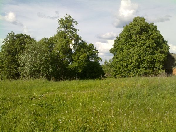  Albrechtowo, folwark   (Wozniesieńska wołość  ). 