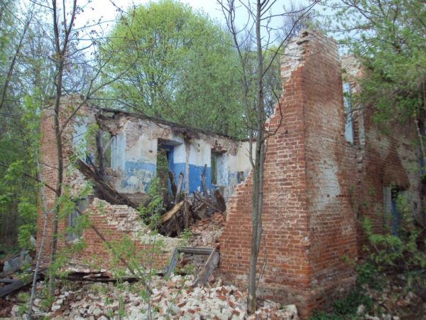  Zakruże, majątek (Wylewska wołość  ). Усадебный комплекс Долго-Сабуровых