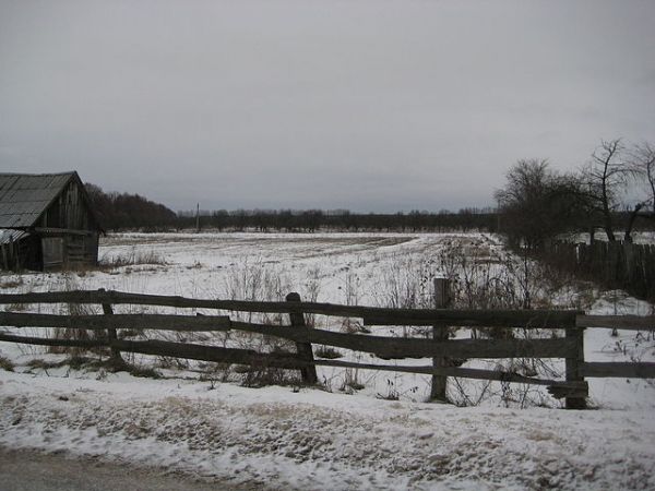  Kovaka, village (Vuhłoŭski rural council). Денисенко Степан Емельянович