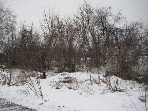  Kovaka, village (Vuhłoŭski rural council). Ермоленко Анна Алексеевна