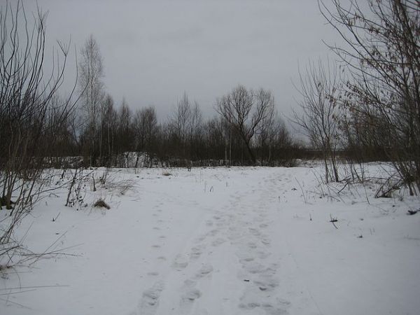  Kovaka, village (Vuhłoŭski rural council). 
