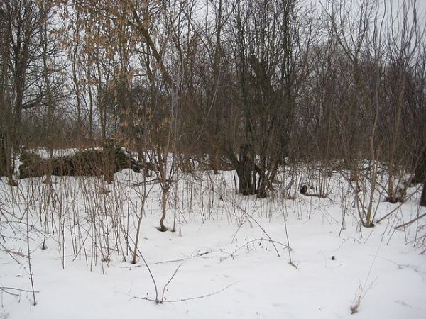  Kovaka, village (Vuhłoŭski rural council). 