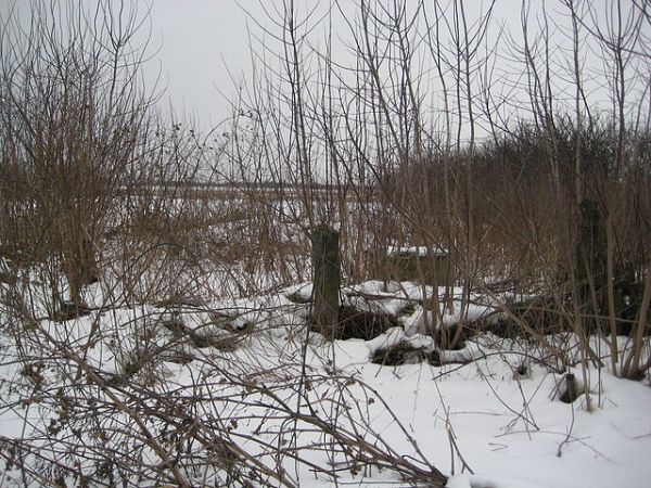  Kovaka, village (Vuhłoŭski rural council). Денисенко Абрам Яковлевич<br>Стрибук Степан Андреевич<br>Пайуц (Ермоленко) Дина Васильевна