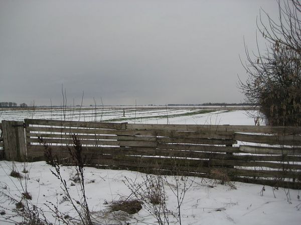  Kowaka, wieś   (Vuhłoŭski sielsowiet  ). Бородавко Иван Васильевич