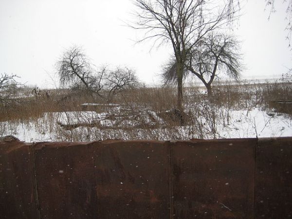  Kovaka, village (Vuhłoŭski rural council). Гусенок Дарья, 