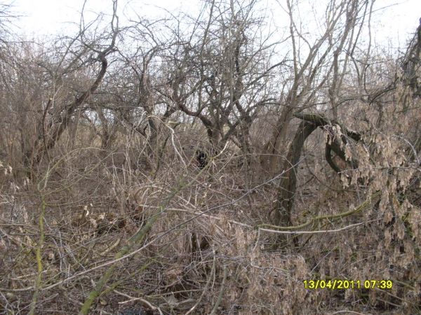  Kowaka, wieś   (Vuhłoŭski sielsowiet  ). 