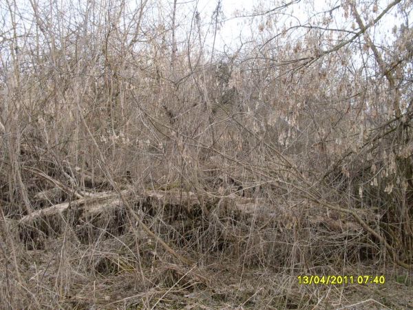  Kowaka, wieś   (Vuhłoŭski sielsowiet  ). 