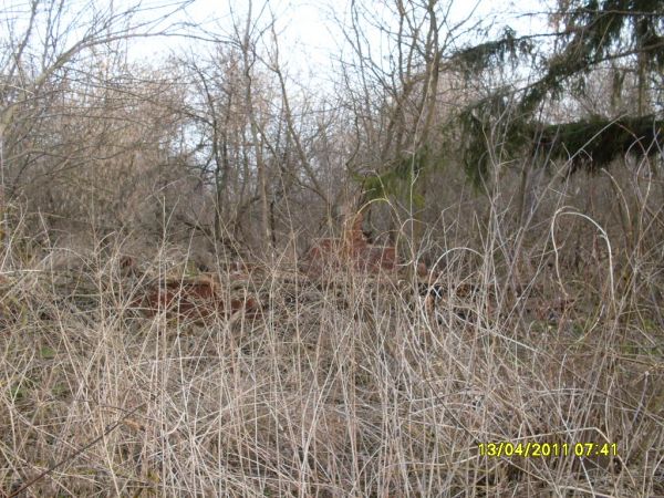  Kovaka, village (Vuhłoŭski rural council). здесь был дом семьи<br>Ермоленко Георгия Александровича<br>