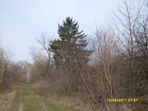  Kowaka, wieś   (Vuhłoŭski sielsowiet  ). 