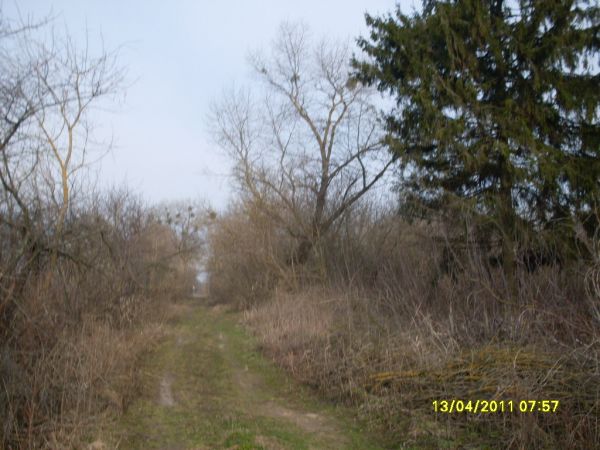  Kovaka, village (Vuhłoŭski selsovet). 