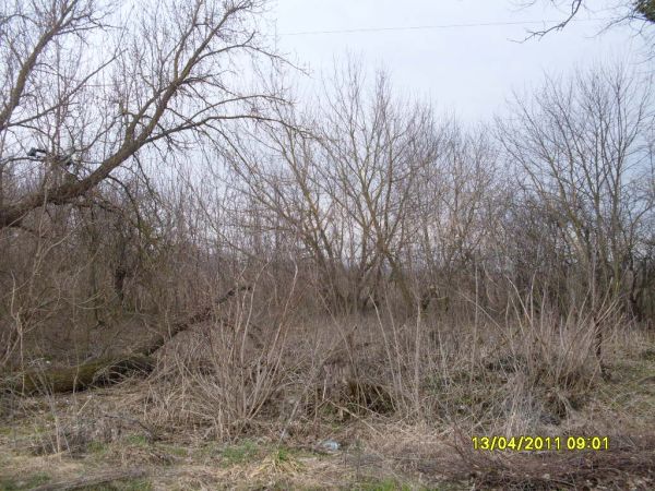  Kovaka, village (Vuhłoŭski rural council). здесь был дом семьи<br>Ермоленко Дмитрия Яковлевича 