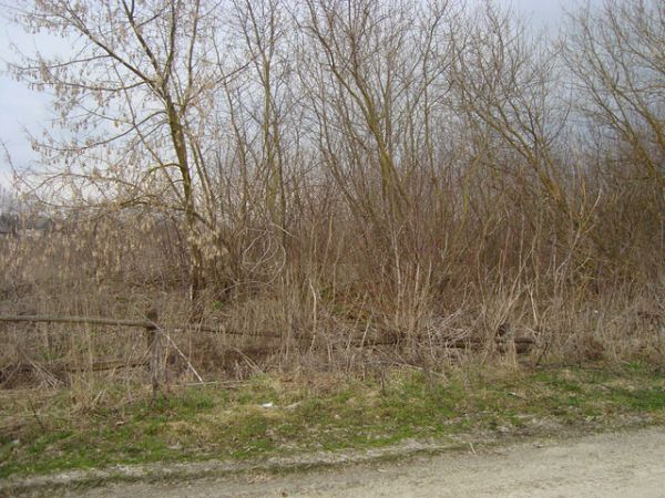  Kovaka, village (Vuhłoŭski rural council). здесь был дом семьи<br>Ермоленко Василия Дмитриевича