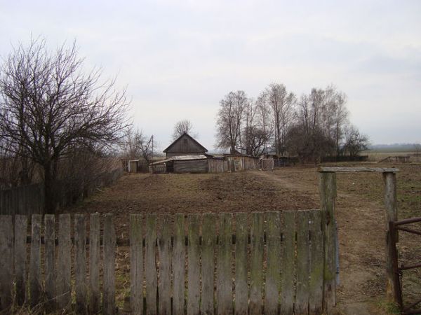  Kovaka, village (Vuhłoŭski rural council). дом семьи<br>Снежко Василия Фёдоровича