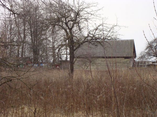  Kovaka, village (Vuhłoŭski rural council). дом семьи<br>Зеленюк Николая Николаевича