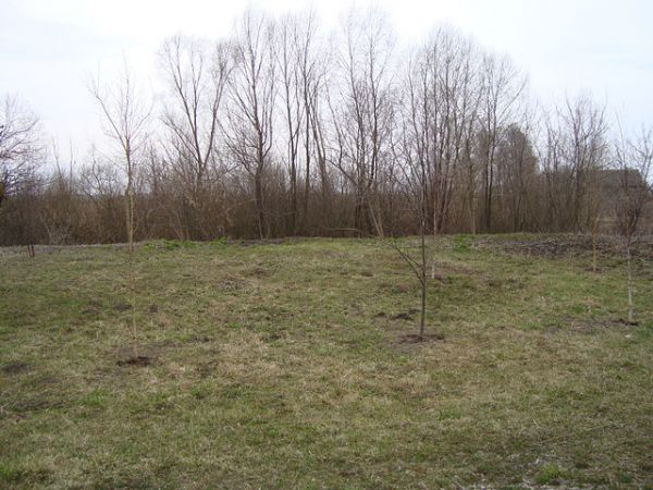  Kovaka, village (Vuhłoŭski rural council). 