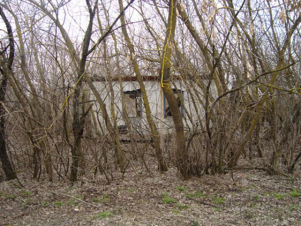  Kovaka, village (Vuhłoŭski rural council). Романюк Николай Никанорович