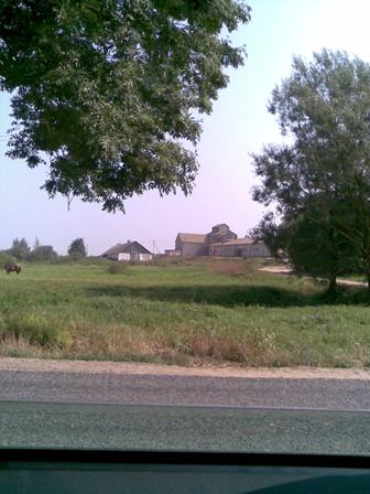  Чарневічы, калонія (Празарокі вясковая гміна). Kolonia Czerniewicze zabudowania gospodarcze, obecnie kołchoz