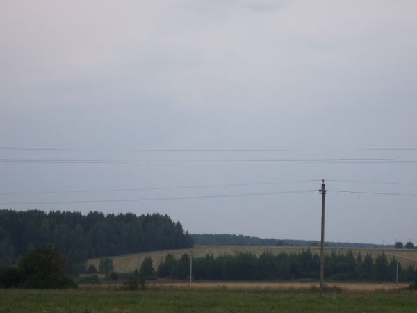  Дедки, деревня (Ситцевский сельсовет). Лясок і могілкі.