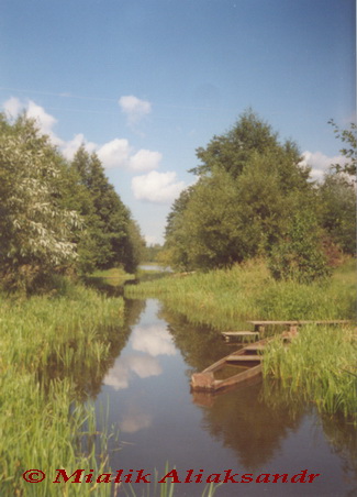  Wólka, wieś   (Telechany posiełkowy sowiet). Агінскі канал пры выхадзе к Вулькаўскага возера (2004 год)/ kanal Oginskego 2004/ Огинский канал на выходе с Вульковского озера