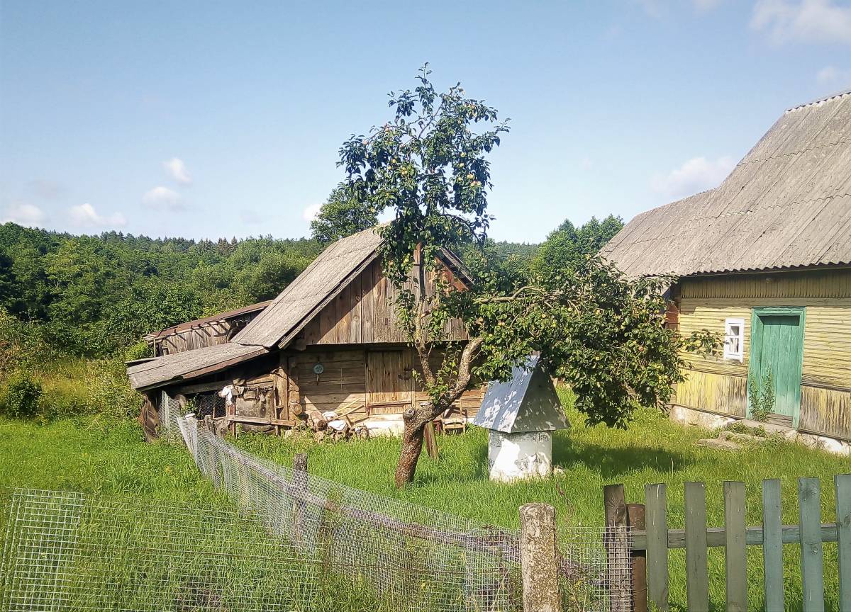  Ягадная, вёска (Палонкаўскі сельсавет). 