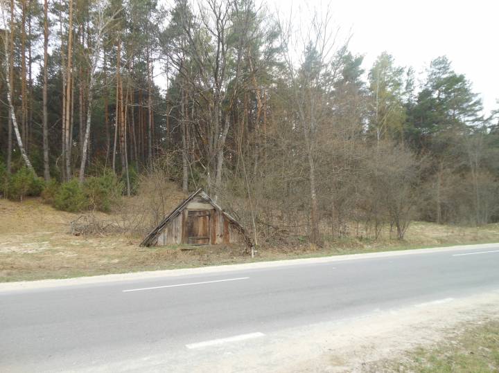  Хомутины, деревня (Новицковичский сельсовет). старый склеп при дороге