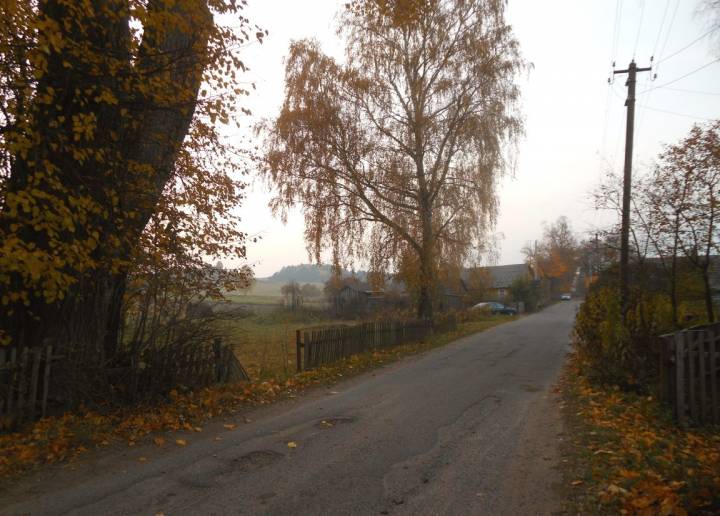  Заполье, деревня (Валевский сельсовет). 