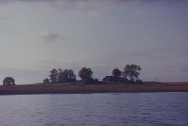  Sojczyno, chutor   (Jazno sielsowiet  ). Вид хутора Галины Урбан д. Сойчино 1984г.
