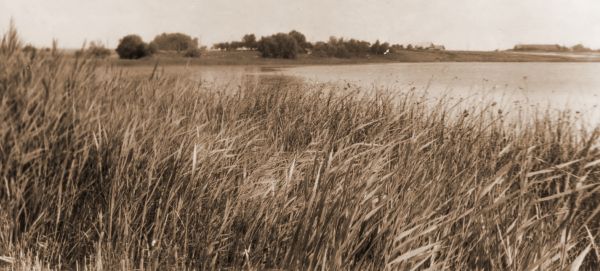  Sojczyno, chutor   (Jazno sielsowiet  ). Вид Сойчино с Лысой горы 1978г.