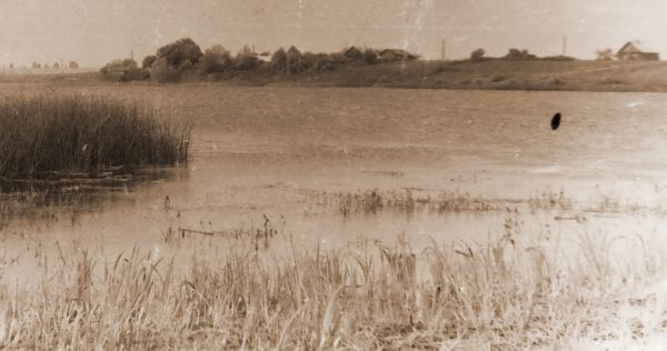  Сойчына, хутар (Язненскі сельсавет). Вид Сойчино с острова 1978г.