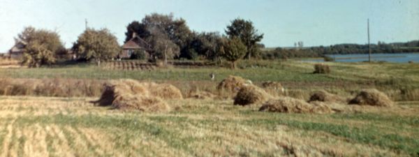  Sojczyno, chutor   (Jazno sielsowiet  ). 1985г. Усадьба Урбан Мелетия Михайловича