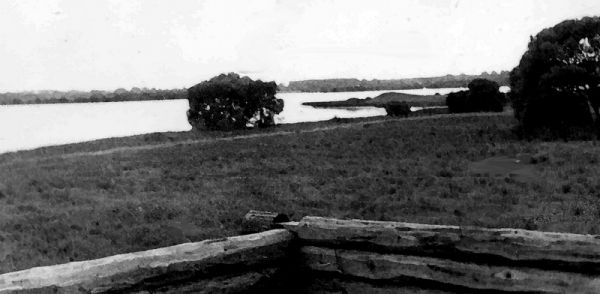  Sojczyno, chutor   (Jazno sielsowiet  ). 1977г. Сойчино. Вид на Лысую гору. 