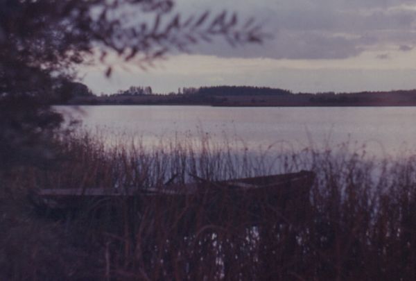  Sojczyno, chutor   (Jazno sielsowiet  ). 1983г. Сойчино. Утро над озером.