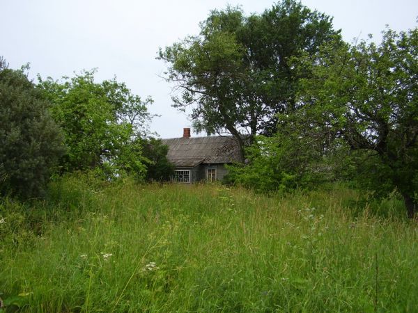  Сойчына, хутар (Язненскі сельсавет). 2009г. Дом Урбан Мелетия Михайловича.