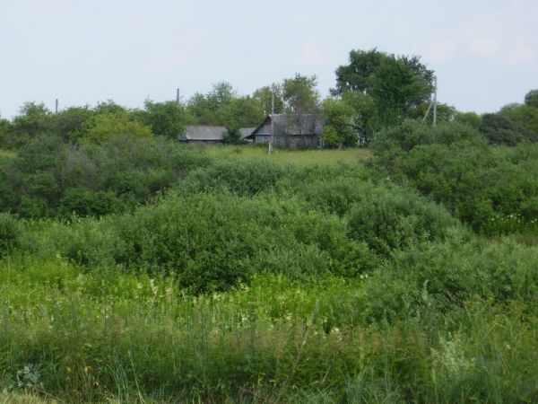  Sojczyno, chutor   (Jazno sielsowiet  ). 2009г. Сойчино. Здесь никто не живет....