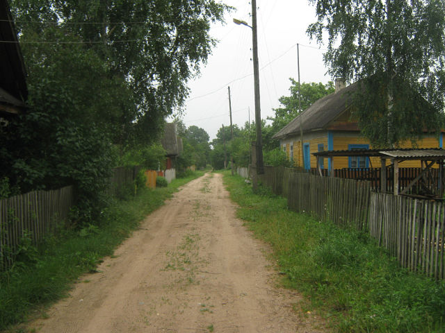  Тумашевцы, деревня (Можейковский сельсовет). 