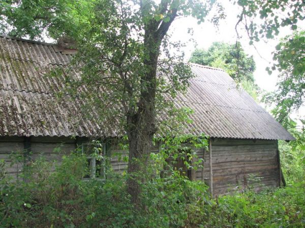  Колбавічы, вёска (Падгорнаўскі сельсавет). Chata p. Lidii Jureni. Chyba najstarsza obecnie zachowana chata we wsi.