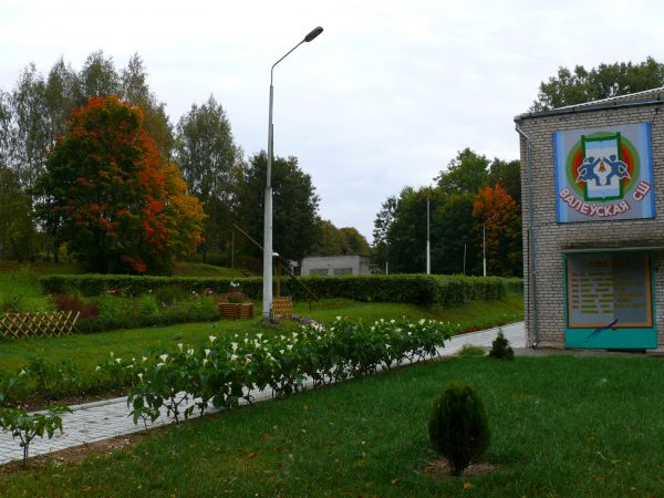  Валевка, агрогородок (Валевский сельсовет). Валевская школа