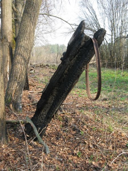  Нерядовка, вёска (Краснапольская воласць). Символичный снимок. Нетолько время, но и люди приложили руку к тому, что сейчас осталось от деревни.
