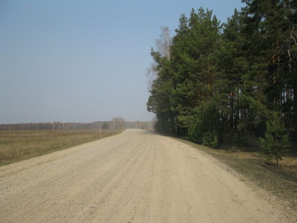  Neryadovka, village (Krasnopolskaya volost). Это дорога на деревню Ельня. Справа в лесу находится кладбище.